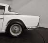 Triumph TR4 overdrive Blanc - thumbnail 21