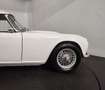 Triumph TR4 overdrive Blanc - thumbnail 27