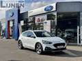 Ford Focus 5d Active Business - Manueel Wit - thumbnail 1