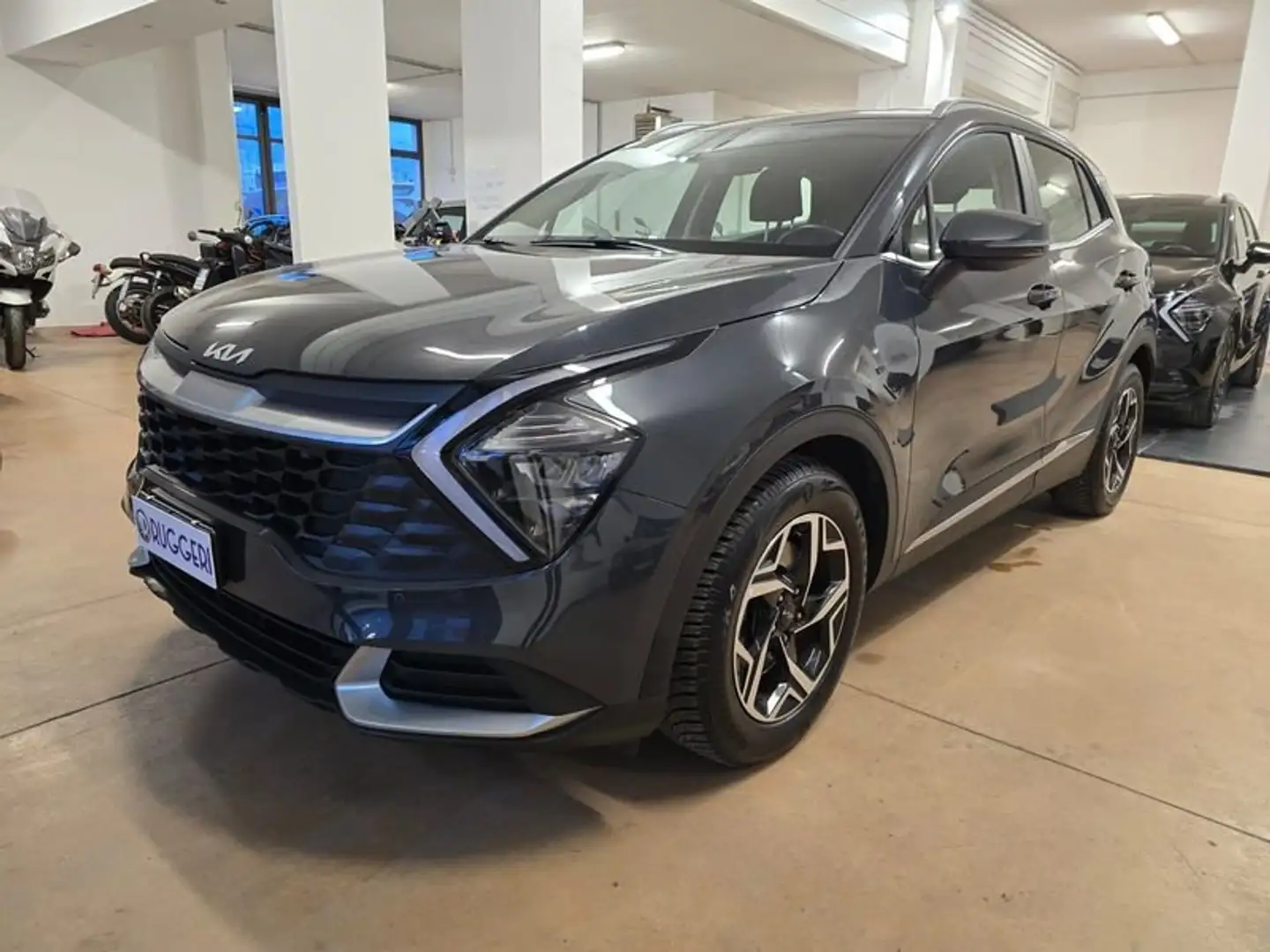 Kia Sportage 1.6 CRDI 136 CV 2WD Mild Hybrid Business Class Grigio - 1