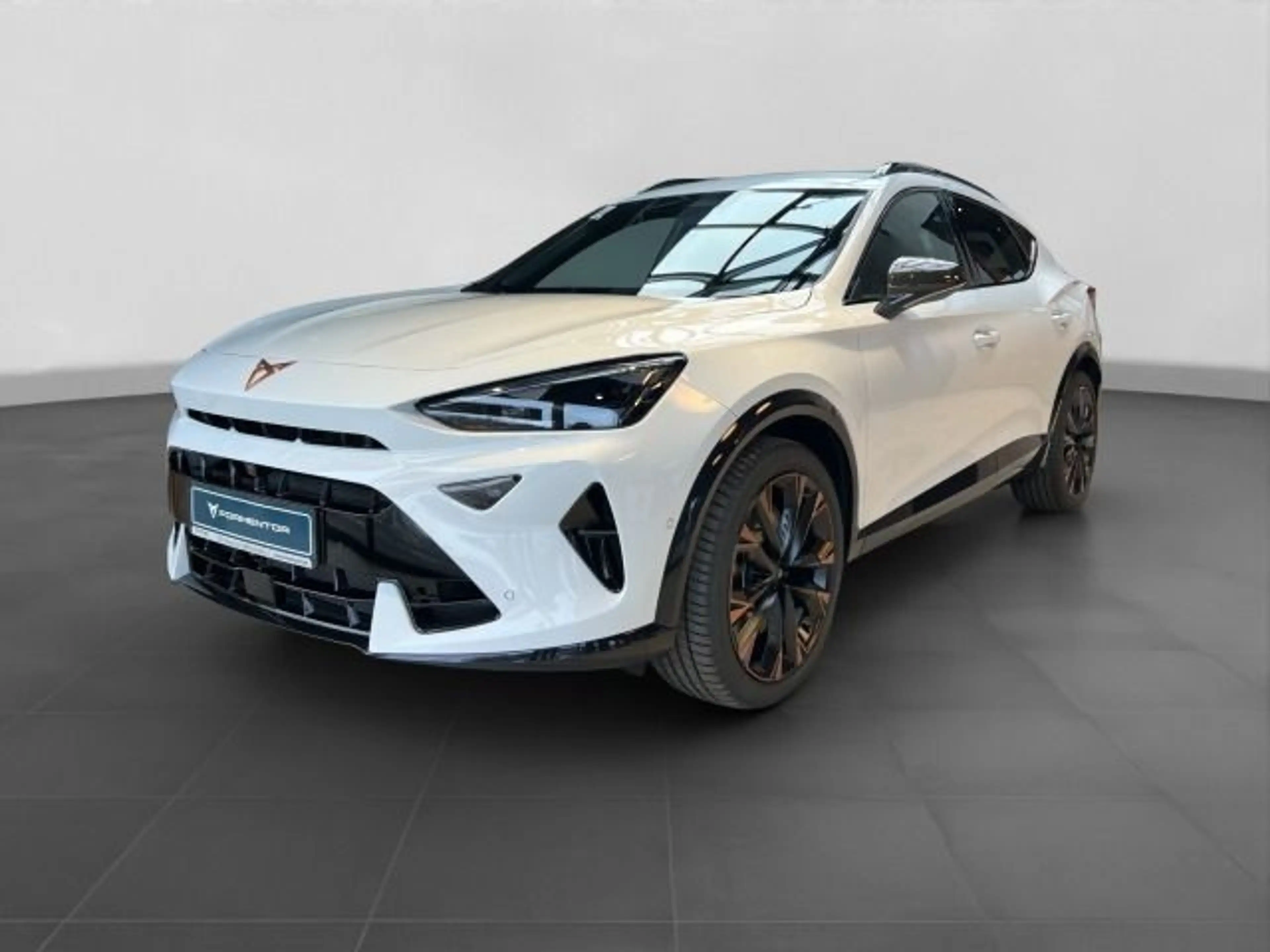 CUPRA Formentor 2.0 TSI DSG VZ 4DRIVE AREA VIEW NAVI S — photo 2