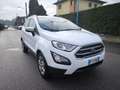 Ford EcoSport FORD ECOSPORT BENZINA- NOV 2019- OK NEOPATENTATI Weiß - thumbnail 3