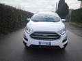 Ford EcoSport FORD ECOSPORT BENZINA- NOV 2019- OK NEOPATENTATI Weiß - thumbnail 2