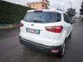 Ford EcoSport FORD ECOSPORT BENZINA- NOV 2019- OK NEOPATENTATI Weiß - thumbnail 16