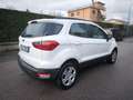 Ford EcoSport FORD ECOSPORT BENZINA- NOV 2019- OK NEOPATENTATI Weiß - thumbnail 14