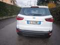 Ford EcoSport FORD ECOSPORT BENZINA- NOV 2019- OK NEOPATENTATI Weiß - thumbnail 17