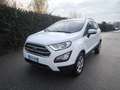 Ford EcoSport FORD ECOSPORT BENZINA- NOV 2019- OK NEOPATENTATI Weiß - thumbnail 1