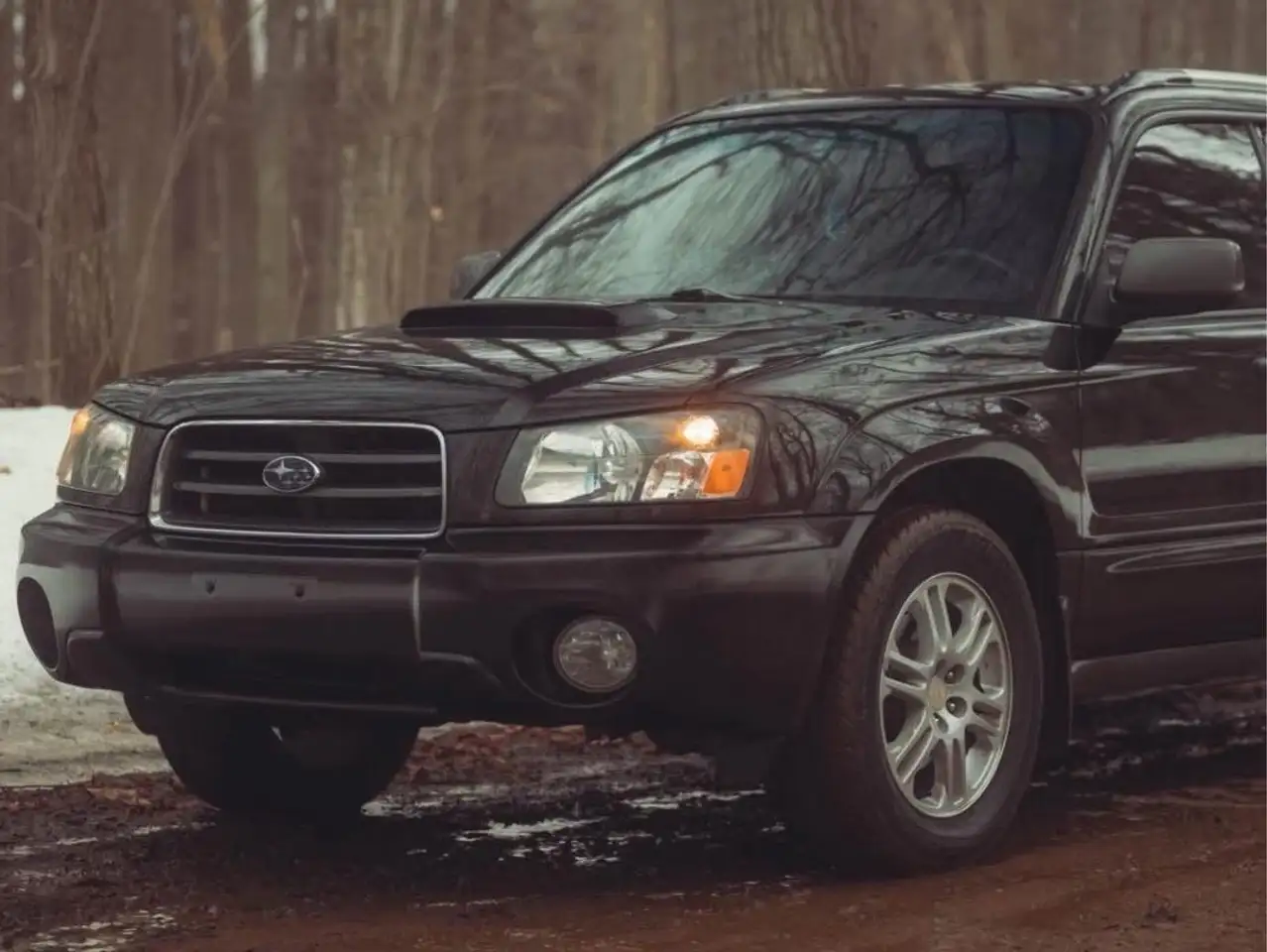 Subaru Forester photo Subaru Forester