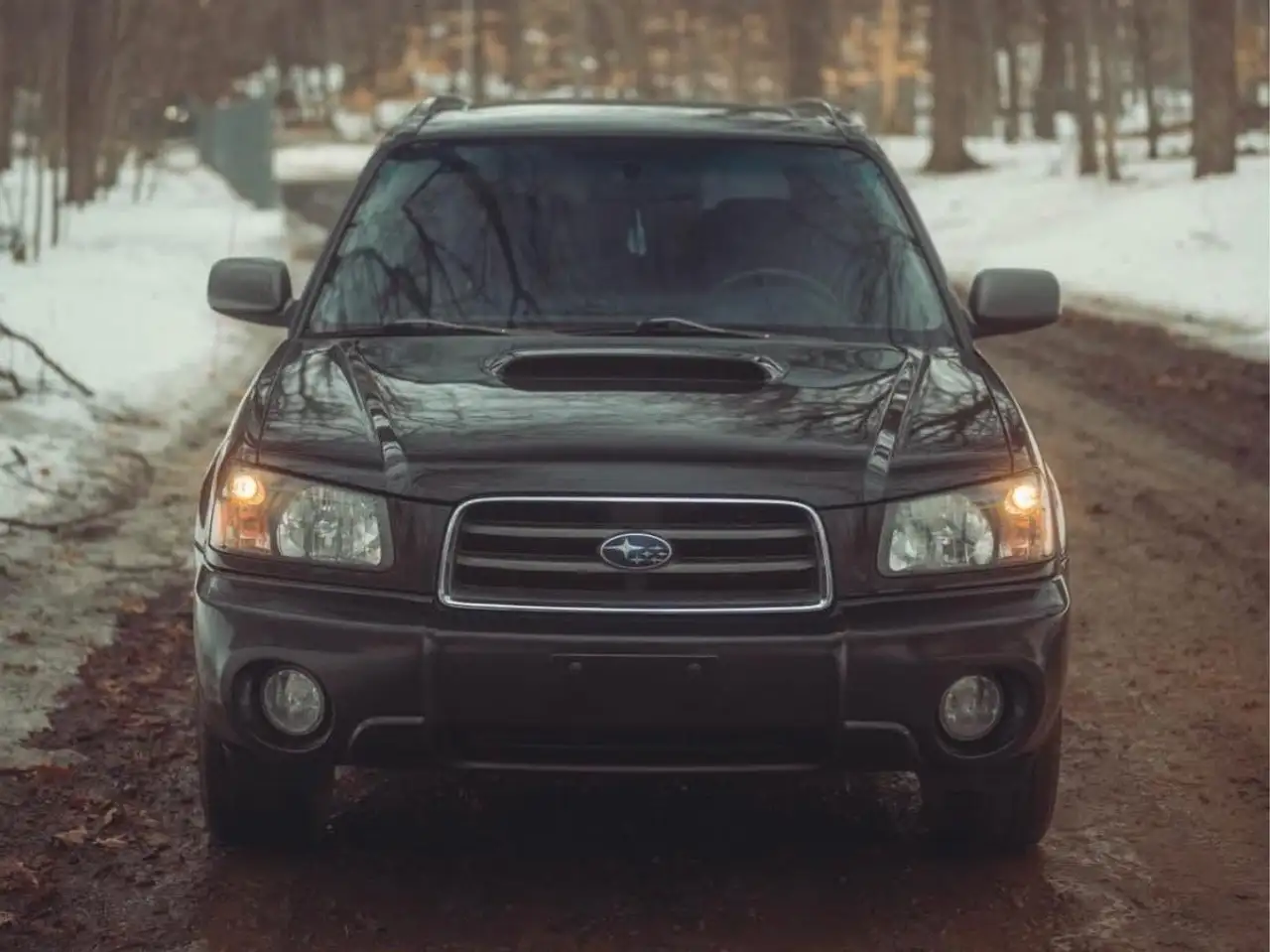 Subaru Forester photo Subaru Forester