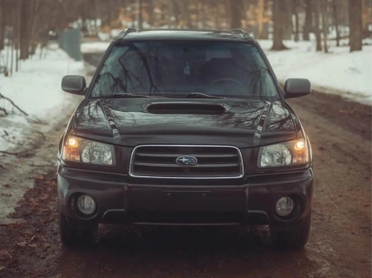 Subaru Forester photo Subaru Forester