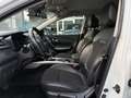 Renault Kadjar Kadjar 1.5 dci energy110cv edc Bianco - thumbnail 11
