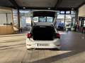 Volkswagen Polo 1.0 MPI 59KW Love|PDC VORNE+HINTEN|SITZHEIZUNG|ALL Blanco - thumbnail 12