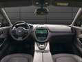 Aston Martin DBX Sonderlackierung *AHK*SHZ* Grün - thumbnail 27