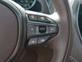 Aston Martin DBX Sonderlackierung *AHK*SHZ* Grün - thumbnail 24