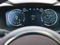 Aston Martin DBX Sonderlackierung *AHK*SHZ* Grün - thumbnail 6
