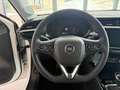 Opel Corsa 1,2 Edition, Parkpilotsystem hinten Rückfahrkam... Weiß - thumbnail 10