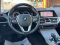 BMW 318 318d Business Advantage AUTOMATICO Albastru - thumbnail 10