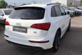 Audi Q5 3,0 TDI quattro S-Line Pano Sport S-tronic Weiß - thumbnail 8