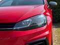 Volkswagen Golf Golf R 2.0 DSG 5p. Rosso - thumbnail 5