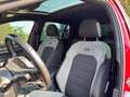 Volkswagen Golf Golf R 2.0 DSG 5p. Rosso - thumbnail 11