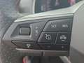 SEAT Ibiza 1.0TSI FR Pro-Black-Edition LED AHK Navi AID Pa... Rot - thumbnail 24