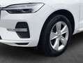 Volvo XC60 XC60 B4 B Geartronic Momentum Pro WINTER AUT Weiß - thumbnail 5