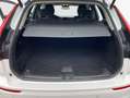 Volvo XC60 XC60 B4 B Geartronic Momentum Pro WINTER AUT Weiß - thumbnail 6