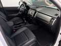 Ford Ranger Limited Doppelkabine 4x4*Kamera* Weiß - thumbnail 8