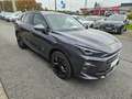 CUPRA Terramar 2.0 TSI DSG 4Drive VZ *AHK*20"Zoll ... Violett - thumbnail 4