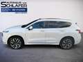 Hyundai SANTA FE 2.2 CRDi Signature 4WD SEVEN PanoDach Bianco - thumbnail 7