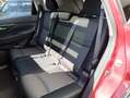 Nissan X-Trail 1.7 dCi N-Connecta 4x2 Rojo - thumbnail 10