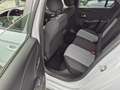 Opel Corsa -F 2025 101PS 6-MT Sitzheiz.Lenkr.Heiz. Touchscree Bianco - thumbnail 14