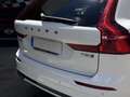Volvo XC60 T8 Twin R-Design Blanco - thumbnail 20