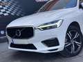 Volvo XC60 T8 Twin R-Design Blanco - thumbnail 11