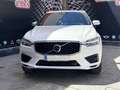 Volvo XC60 T8 Twin R-Design Blanco - thumbnail 4