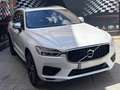 Volvo XC60 T8 Twin R-Design Blanco - thumbnail 5