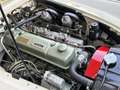 Austin-Healey 3000 MK1 RESTAURO TOTALE Weiß - thumbnail 13