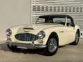 Austin-Healey 3000 MK1 RESTAURO TOTALE Weiß - thumbnail 1