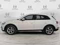 Audi Q5 Q5 35 TDI S tronic Business Advanced Weiß - thumbnail 10