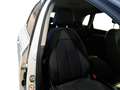 Audi Q5 Q5 35 TDI S tronic Business Advanced Weiß - thumbnail 7