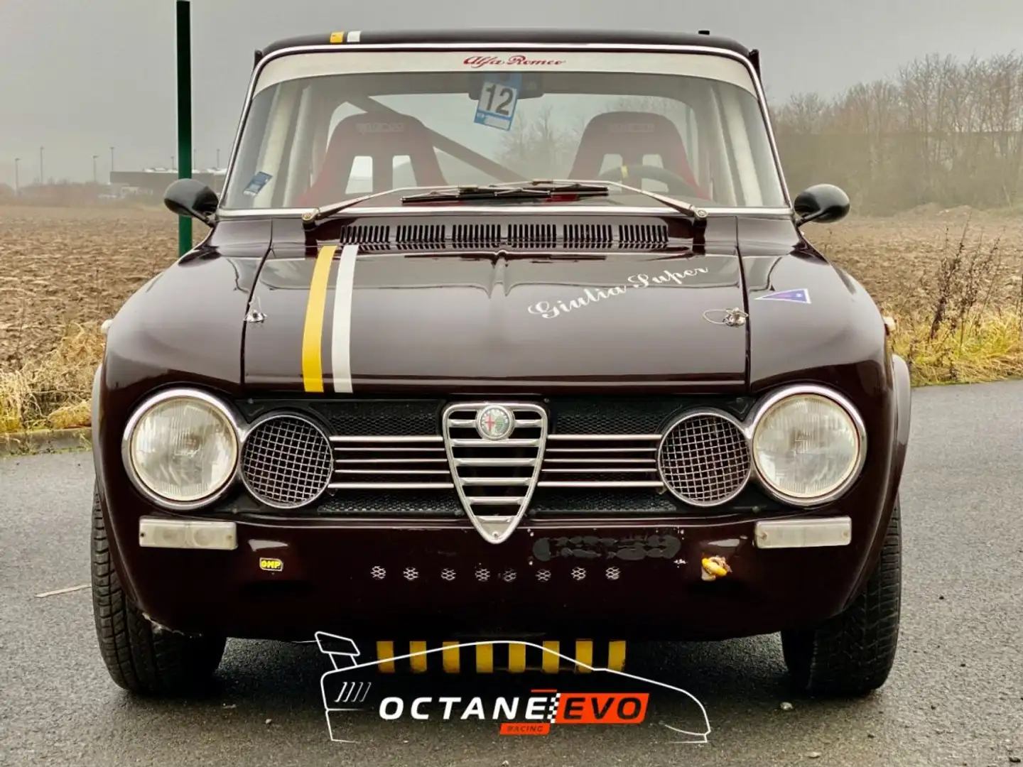 Alfa Romeo Giulia 1.3 Super - 2