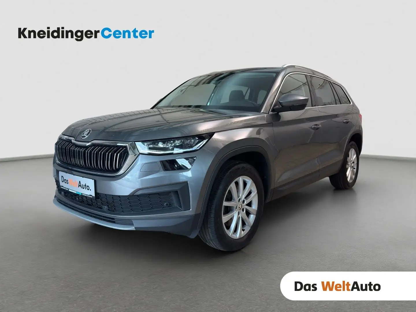 Skoda Kodiaq 4x4 Style SC TDI DSG Grau - 1
