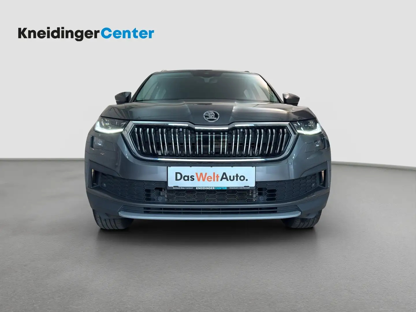 Skoda Kodiaq 4x4 Style SC TDI DSG Grau - 2