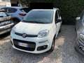 Fiat Panda 1.2 Van POP 2 posti Blanc - thumbnail 1