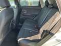 MG ZS HEV Luxury MY26 Österreich Paket Rot - thumbnail 9
