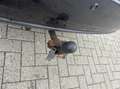 Chevrolet Epica 2.0i Class met AIRCO Grau - thumbnail 26