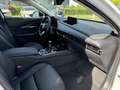 Mazda CX-30 2025 2.5 e-SKYACTIV-G 140PS 6MT Homura LED Kamera Blanc - thumbnail 12