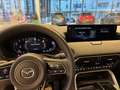Mazda CX-60 PHEV Homura Vollausstattung*Leasingaktion* Piros - thumbnail 5