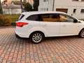 Ford Focus Focus IV 2015 SW SW 1.6 Titanium Gpl 120cv my17 Blanco - thumbnail 4