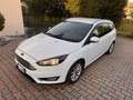 Ford Focus Focus IV 2015 SW SW 1.6 Titanium Gpl 120cv my17 Blanco - thumbnail 9